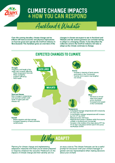 Regional-Factsheet-Auckland-Waikato.pdf