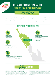 Regional-Factsheet-Northland.pdf