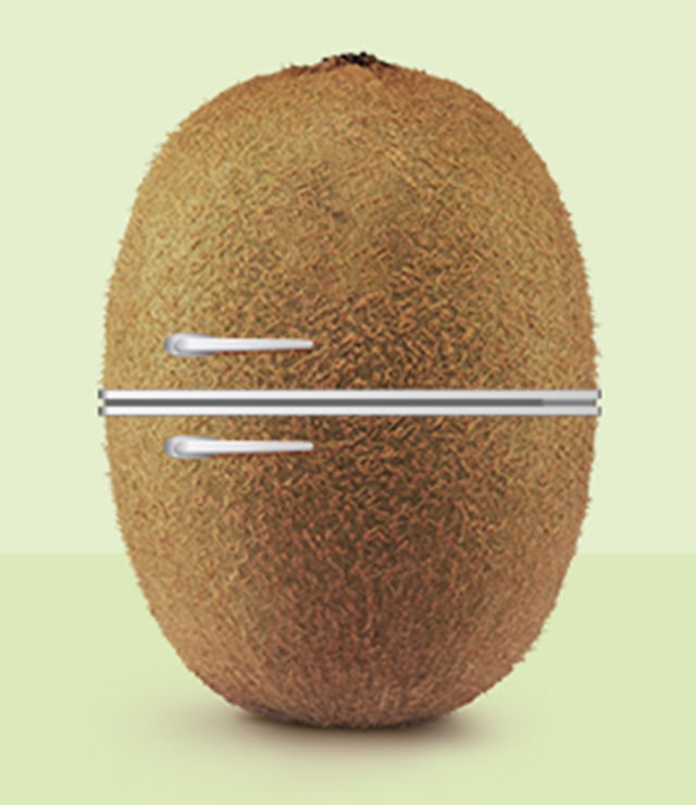 kiwifruit-grown-thumbnail-min.jpg