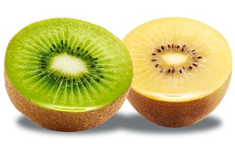 kiwi