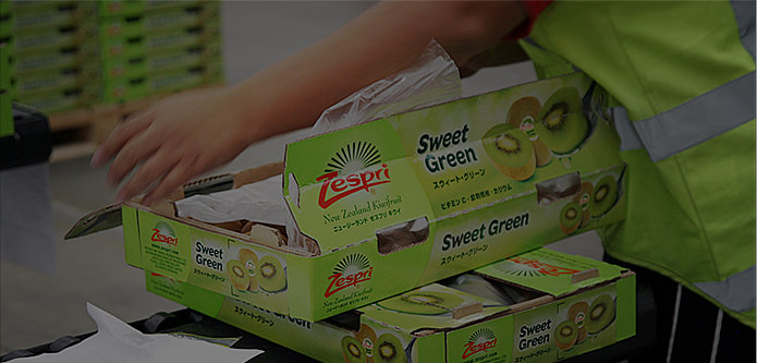 zespri-system_05_desktop.jpeg